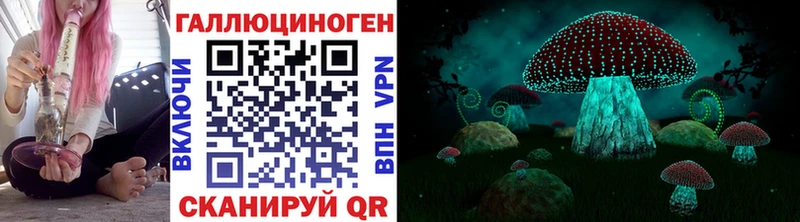 Галлюциногенные грибы Magic Shrooms  Дятьково 