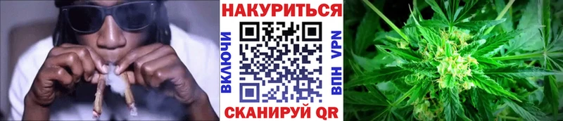 Каннабис OG Kush  Дятьково 